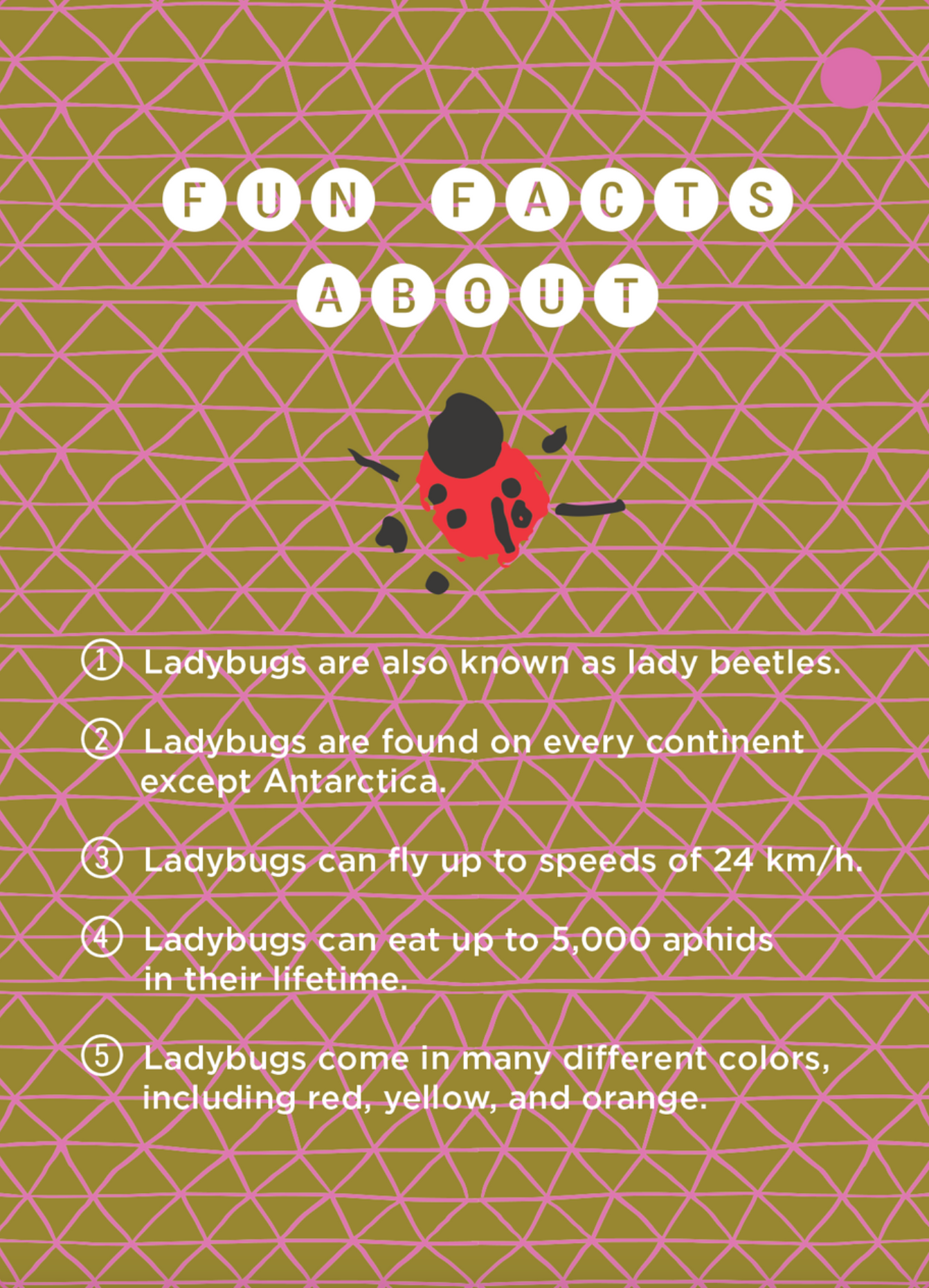 Learn Your Colors with Ladybugs