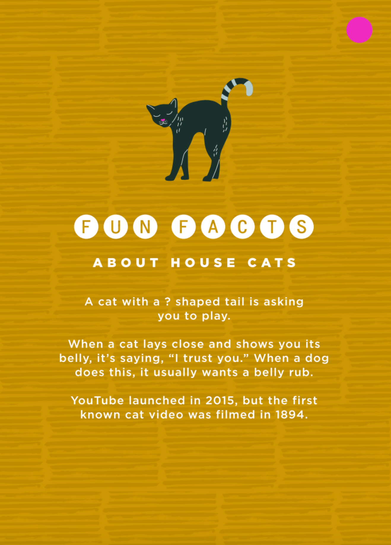 cats n' kittens- number cards